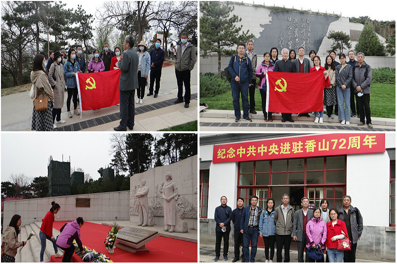 合集1.jpg